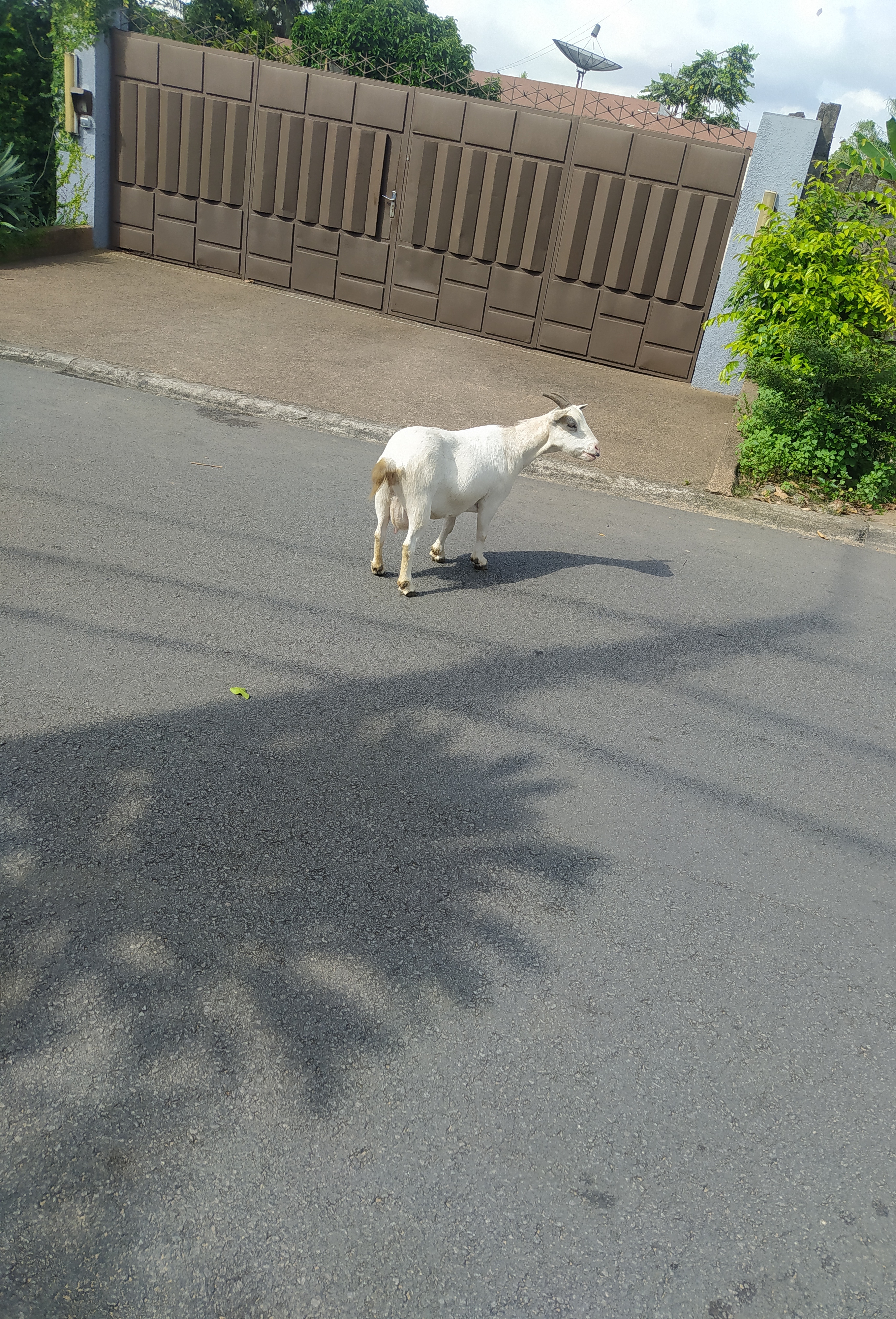 Sur le pas de la porte...