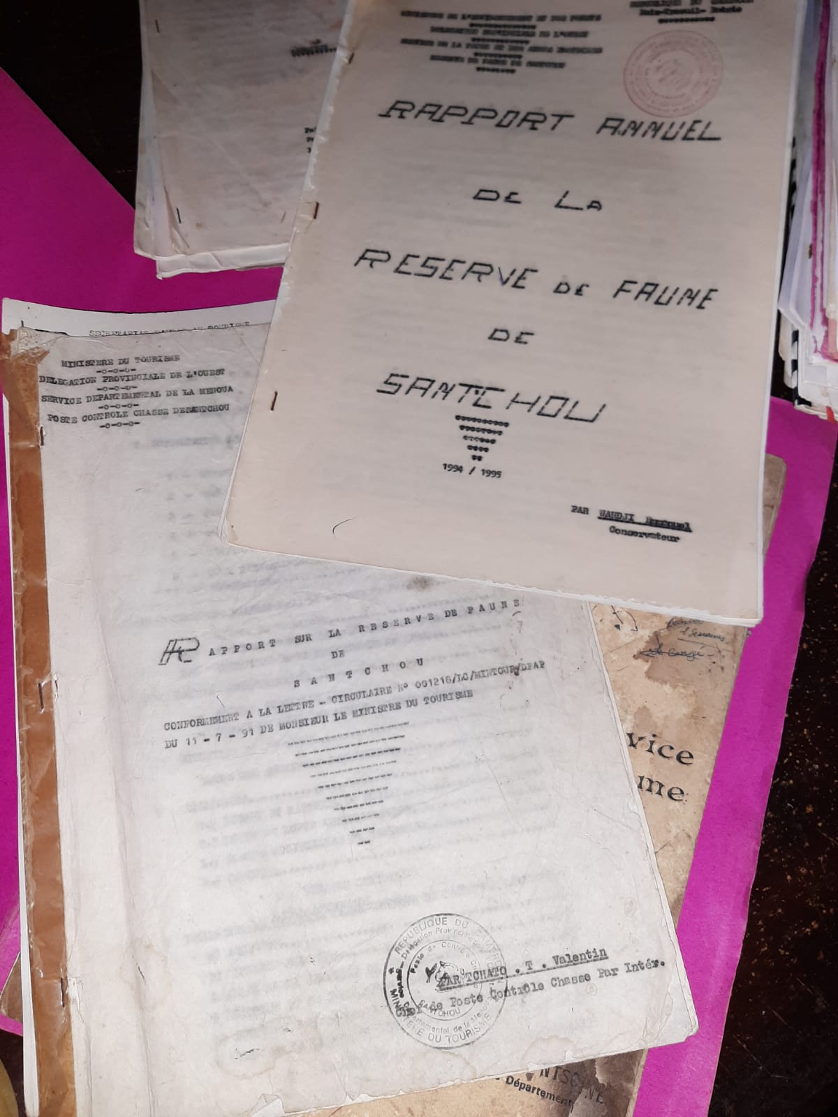Rapport annuel (1991)