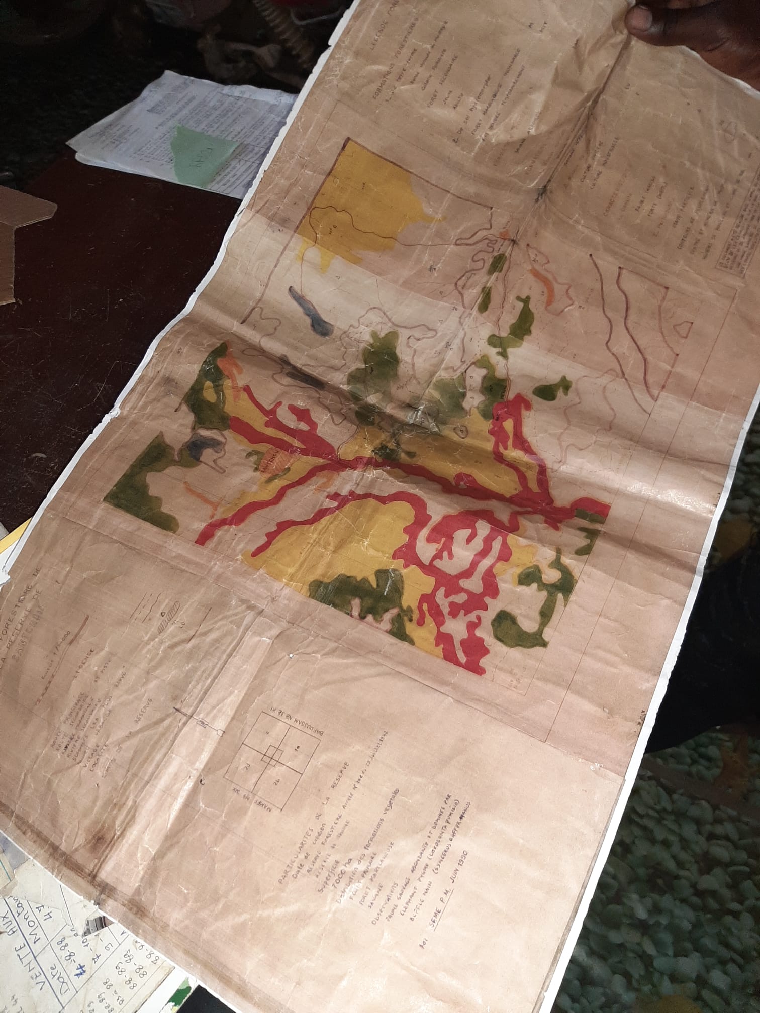 Copie d'un plan de la réserve (1991)