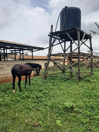 La ferme agricole