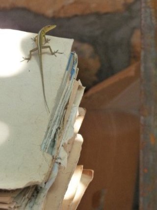 Du renfort pour aider à classer