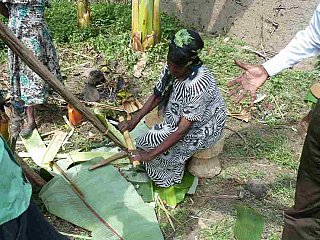 Extraction de la pulpe d'une feuille de faux-bananier, Tiya.