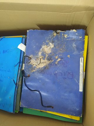Variation sur le même thème, par Magali !