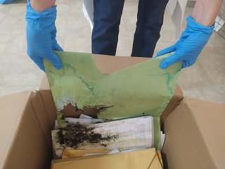 Rien n'arrête Nancy, pas même le moisi ! Mais, avec des gants tout de même !